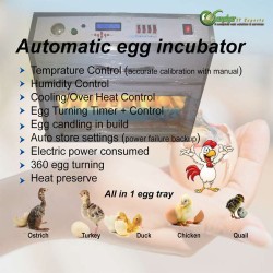 egg incubator, automatic hatching machine egg incubator, automatic hatching machine