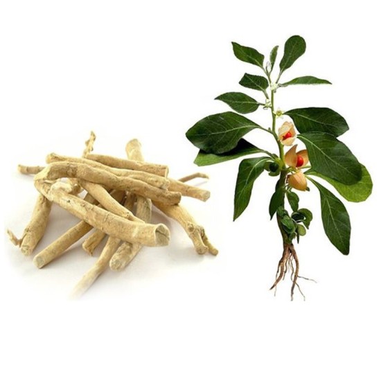 Ashwagandha (Withania somnifera)-250gm