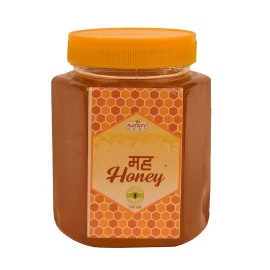 Naturenest Honey-500gm