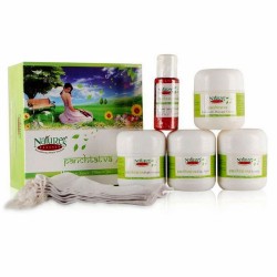 Nature's Essence Panchtatva Facial Kit 100gm Nature's Essence Panchtatva Facial Kit 100gm