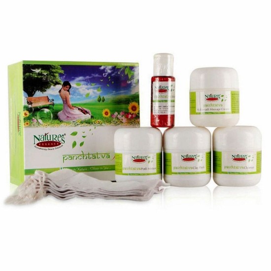 Nature's Essence Panchtatva Facial Kit 100gm