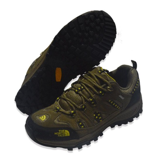 the north face men's shoes