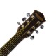 Dream Maker Acoustic Guitar DM60EQ