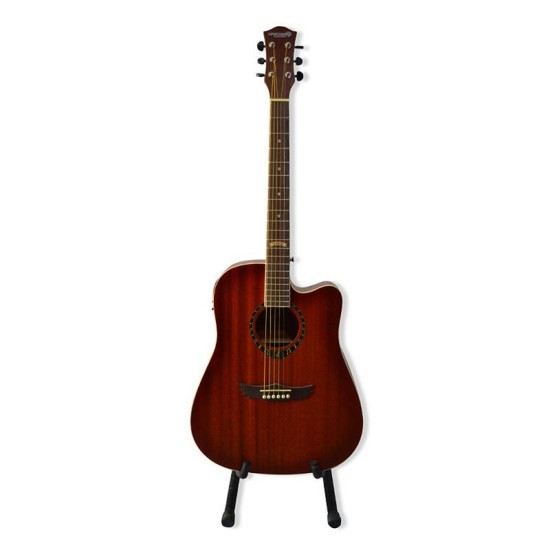 Dreammaker Acoustic Guitar-DM303CE