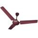 RCM Uni star Savio Ceiling Fan